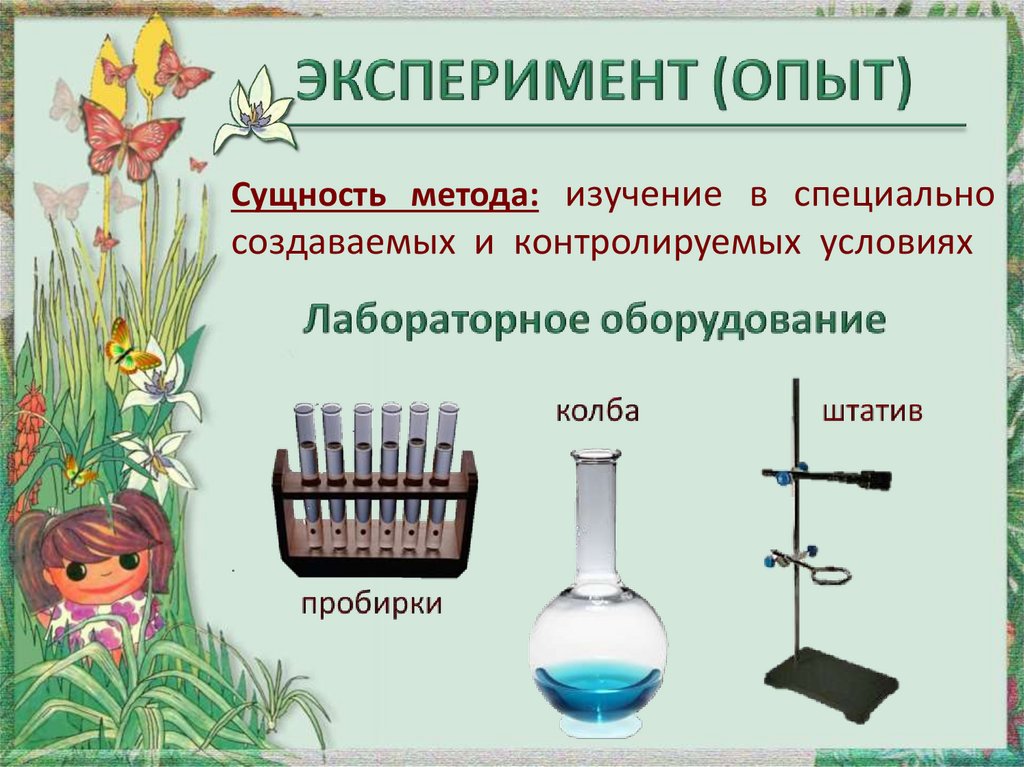 Методы исследования в биологии презентация