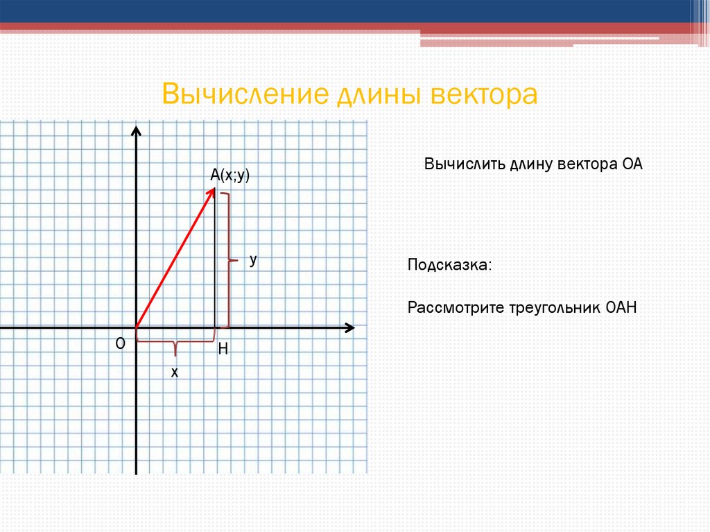 Простейшие в координатах