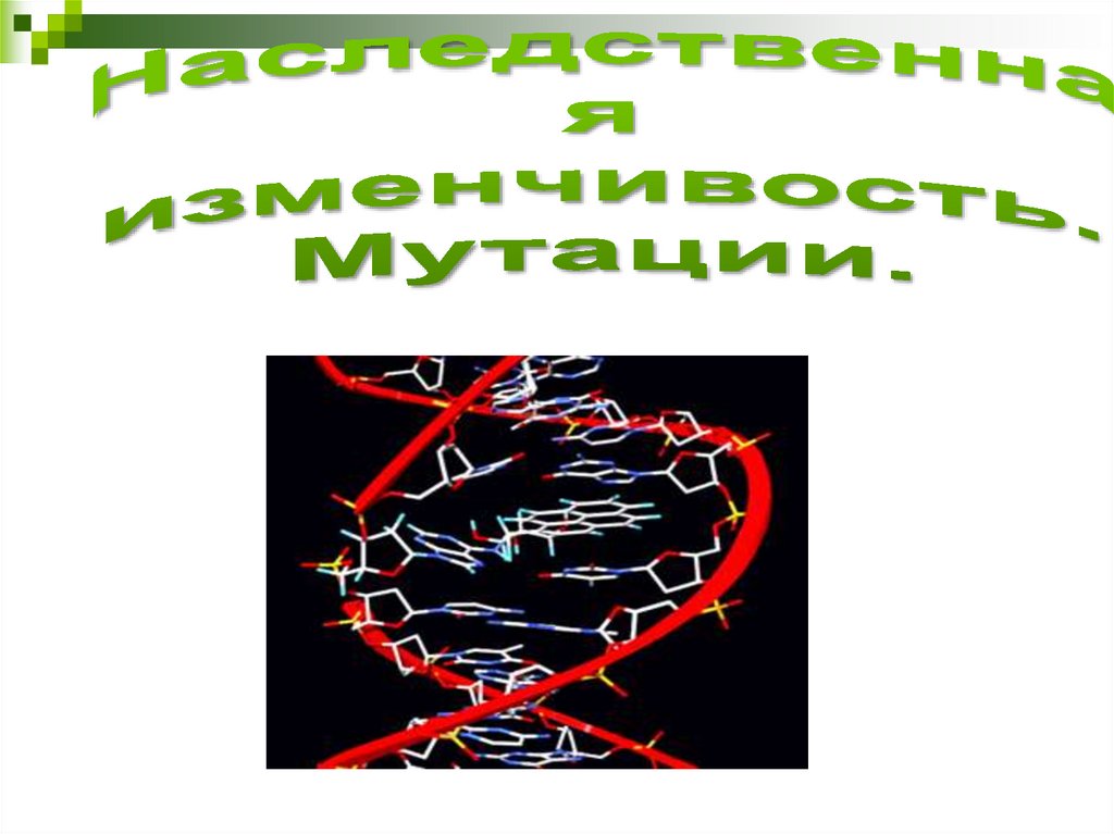 Мутации презентация 9 класс