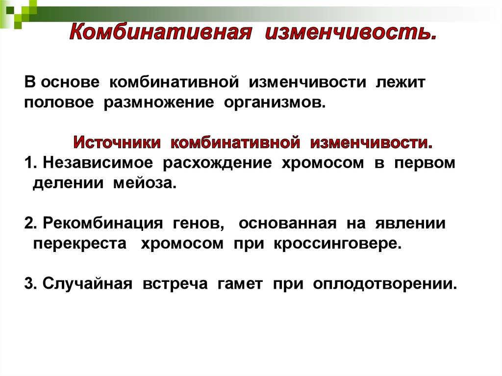 Причиной комбинативной изменчивости может быть. Причины комбинативной изменчивости 9 класс. Комбинативна яизменчивсть. Основы комбинативной изменчивости. Комбинативная изменчивость в основе.