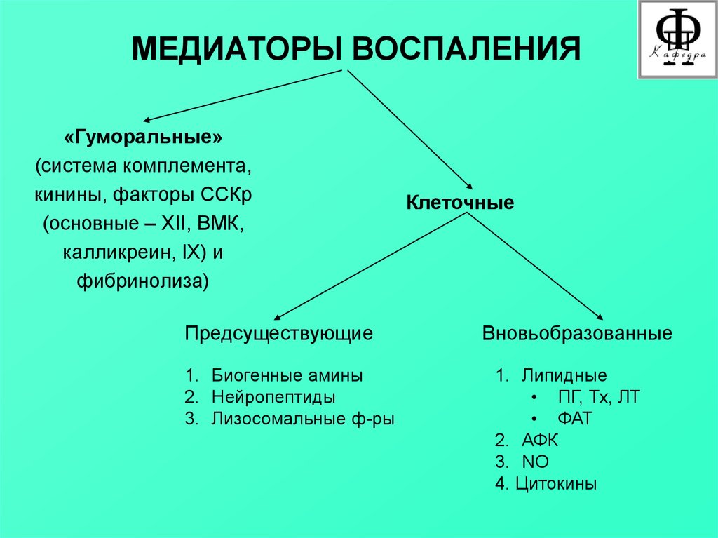 К медиаторам воспаления относятся