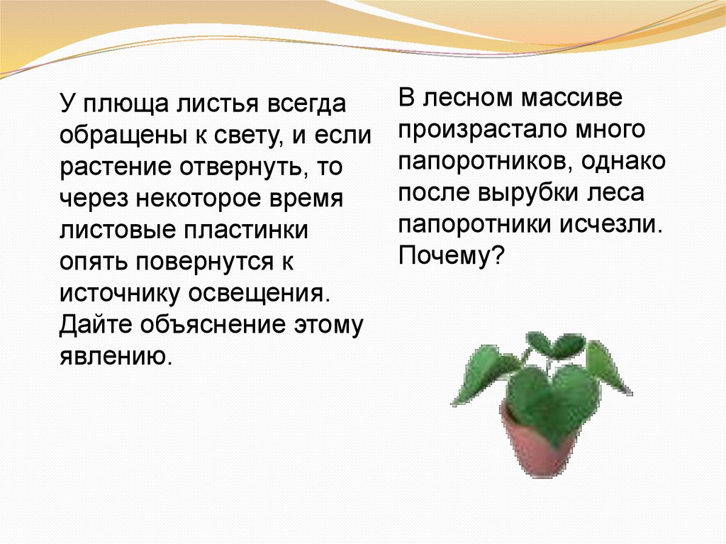 Применение экологических знаний в практической деятельности человека презентация