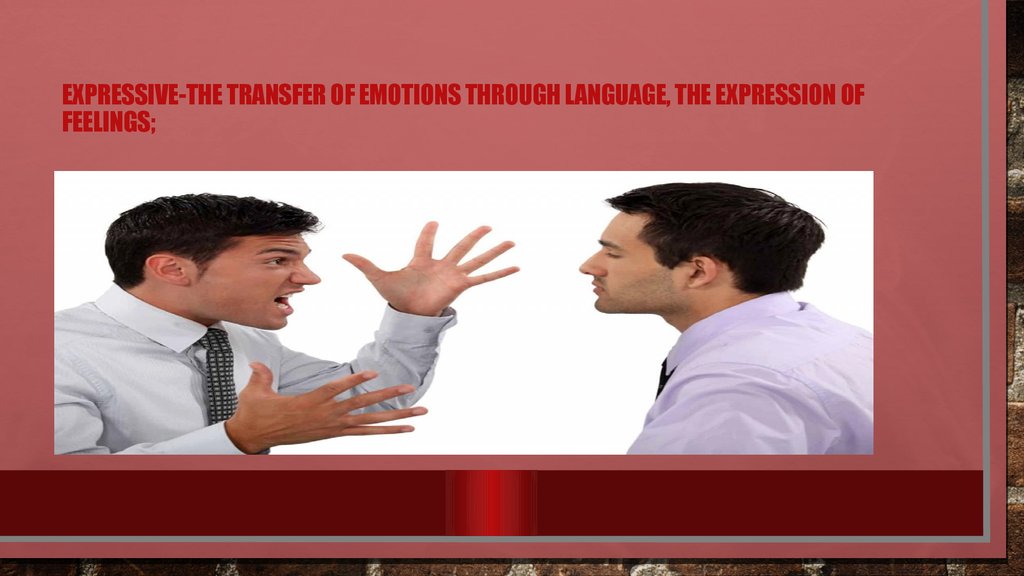 Expressive-the transfer of emotions through language, the expression of feelings;