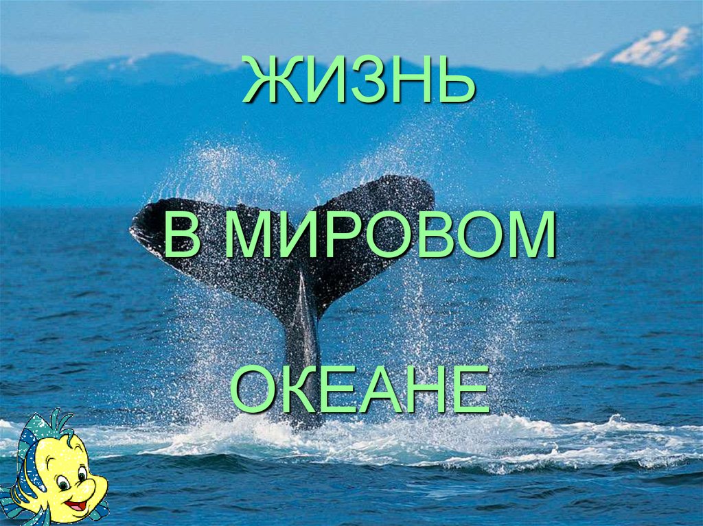 Проект по географии 7 класс мировой океан