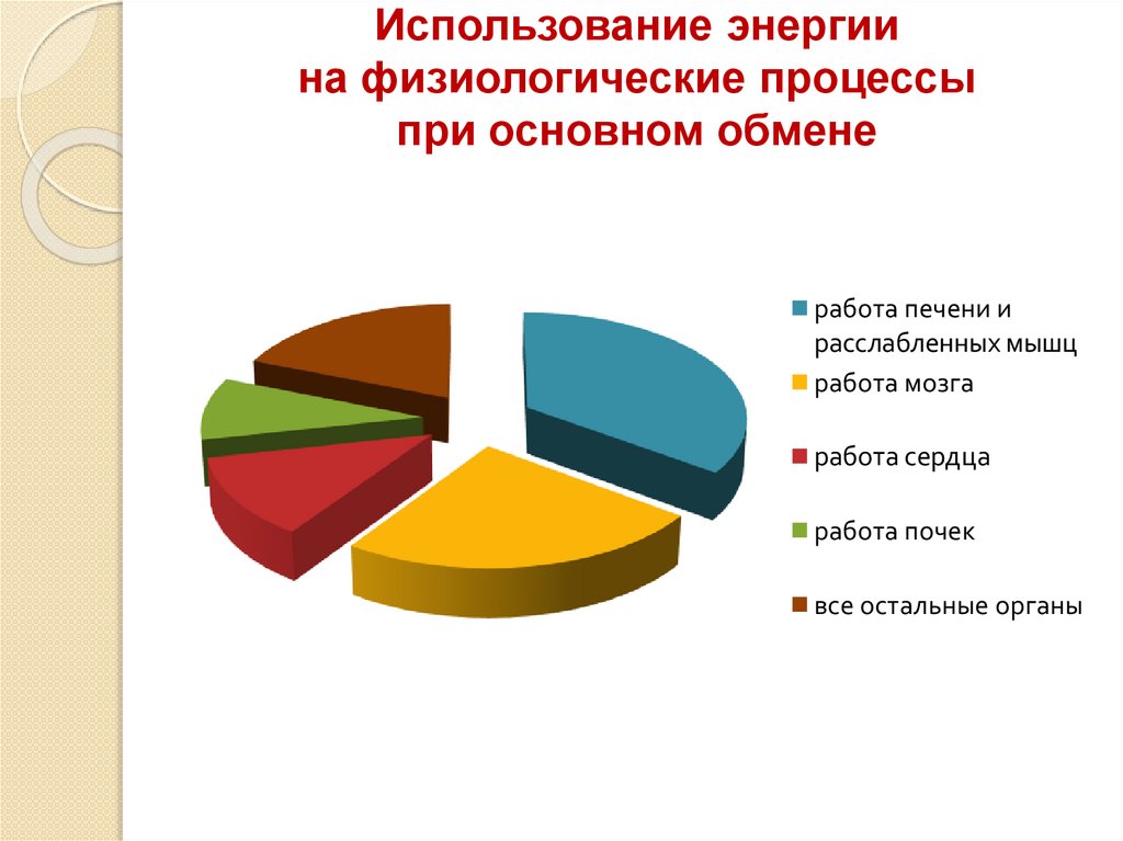 Энергозатраты человека и пищевой рацион презентация 8 класс