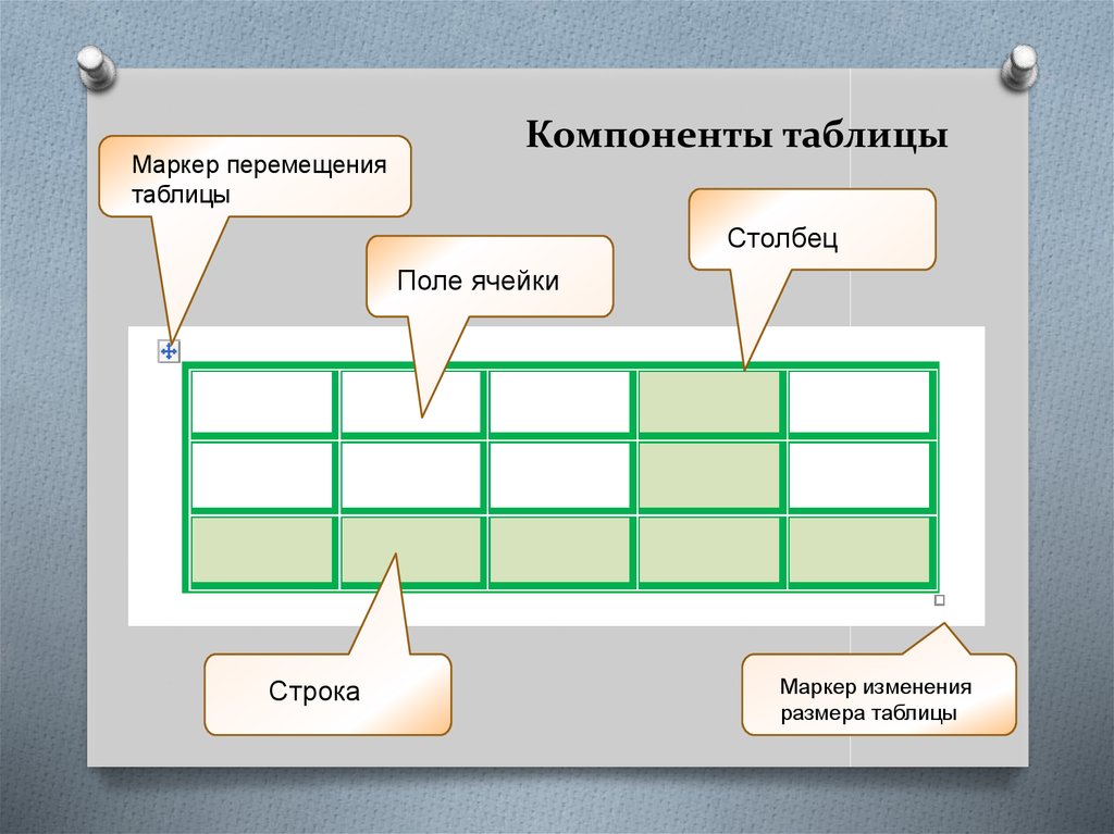 Основным элементом таблицы является. Компоненты таблица. Таблица и ее составляющие. Активные компоненты таблица. Основные элементы таблицы 5 класс.