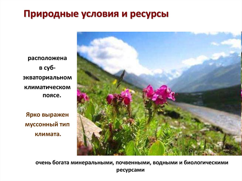 Различие природных условий. Природные условия Южной Азии. Природные условия и ресурсы центральной Азии. Природные отличия Южной Азии. Природные условия и ресурсы Южной Азии.