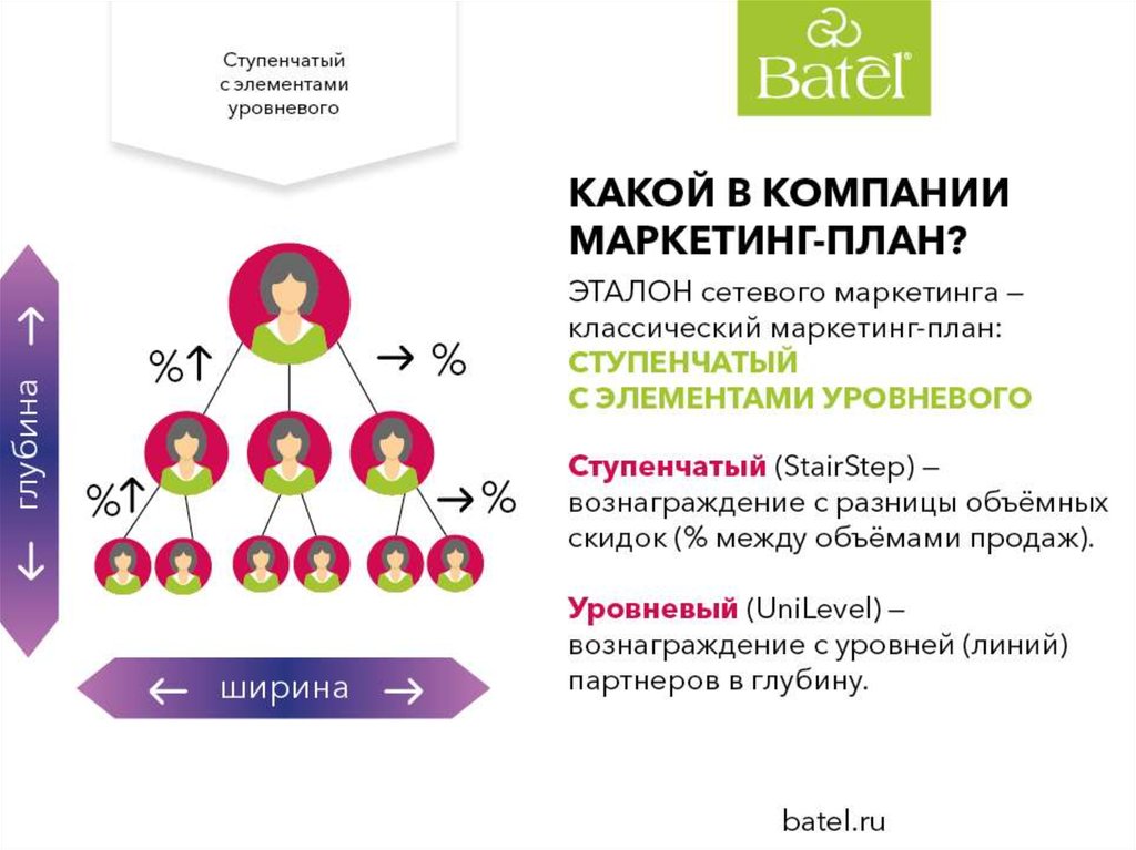 Batel маркетинг план