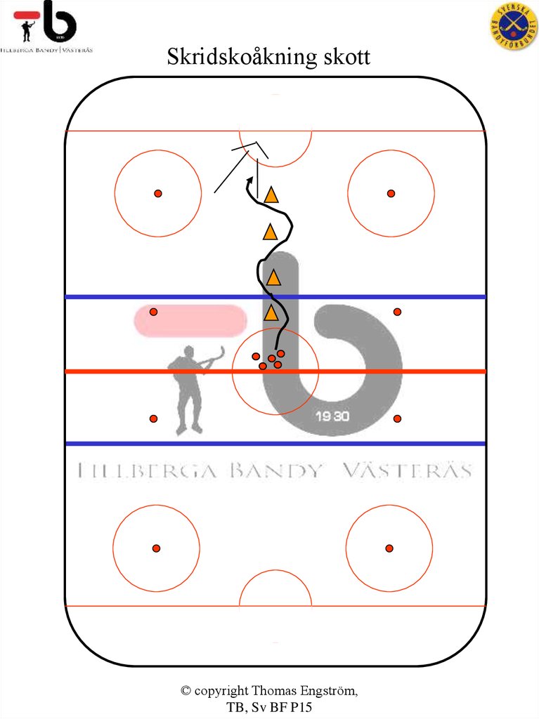 Skridskoåkning skott