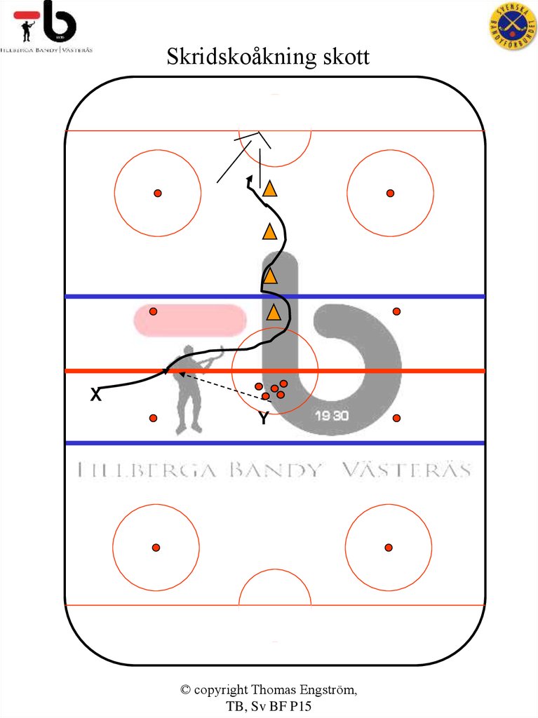 Skridskoåkning skott