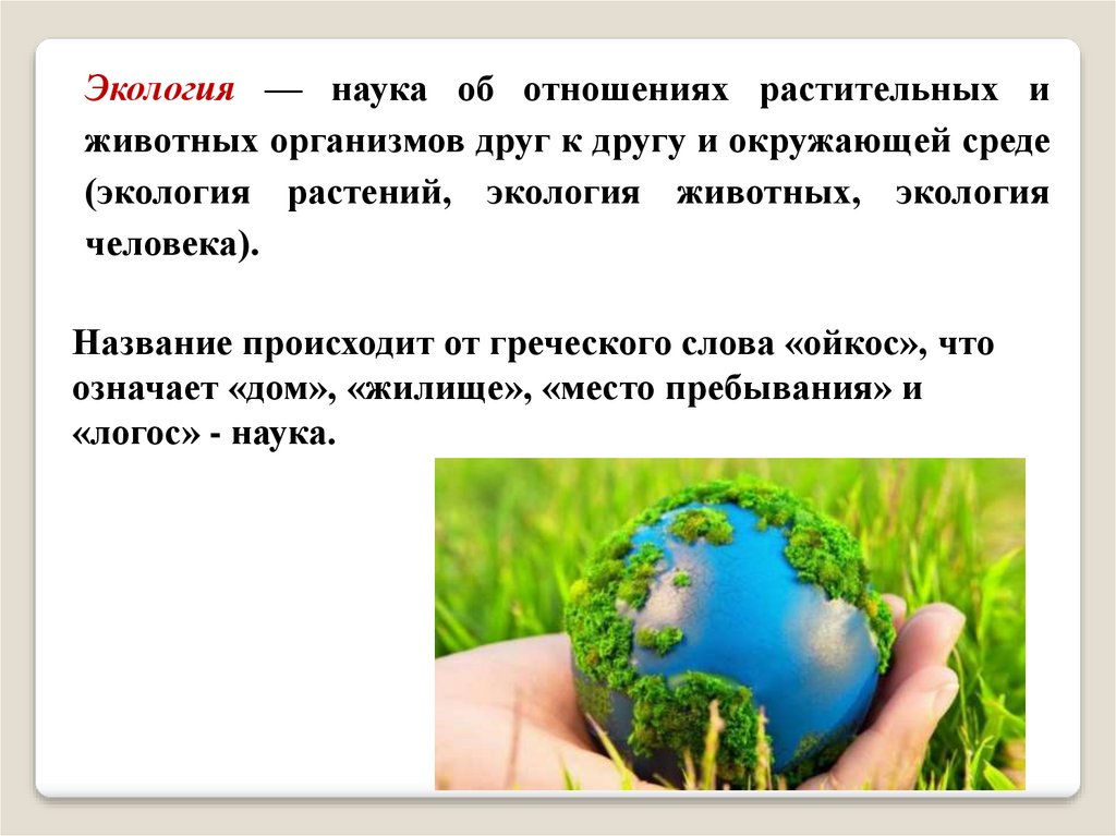 Почему природу назвали природой. Экология это наука. Экология человека это наука. Доклад человек часть природы. Конспект на тему: человек часть природы..