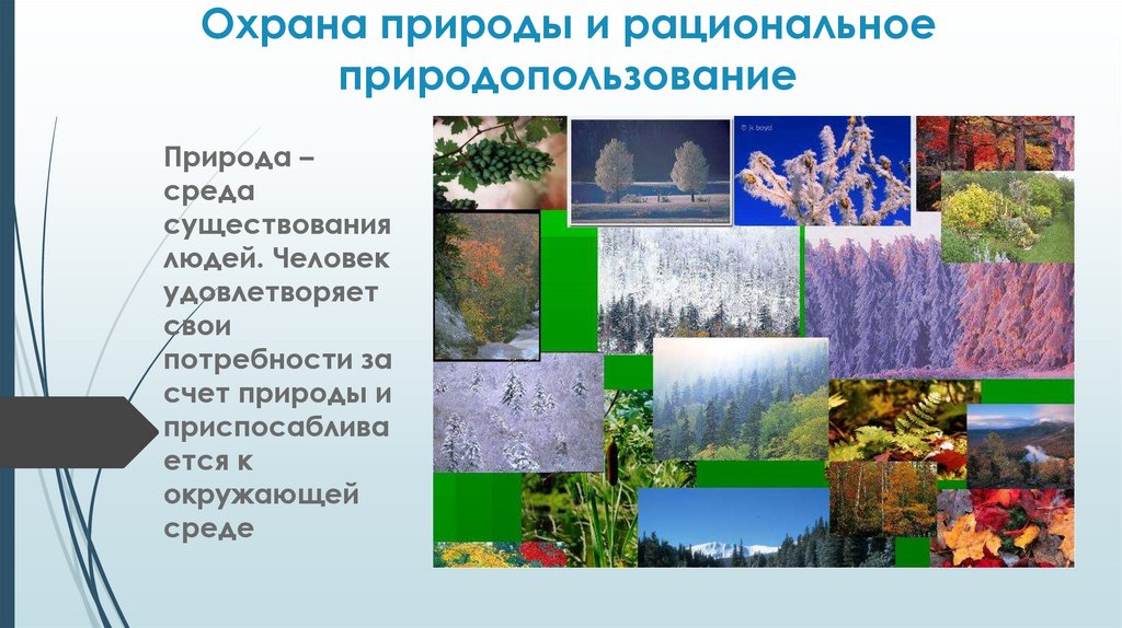 Презентация по биологии 11 класс охрана природы и перспективы рационального природопользования