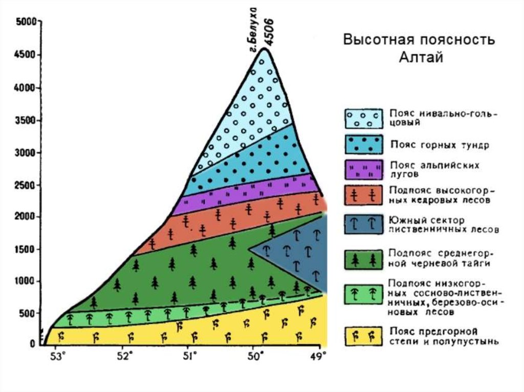 Природные зоны кавказа таблица. Схема ВЫСОТНОЙ поясности алтайских гор. Природные зоны ВЫСОТНОЙ поясности Алтая. Высотная поясность зоны Алтай. Схема ВЫСОТНОЙ поясности в горах Алтая.