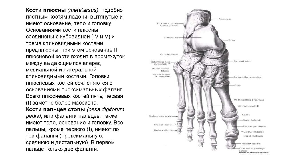 Закрытый перелом костей плюсны карта вызова