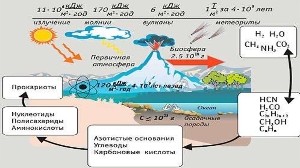 Происхождение жизни на земле схема