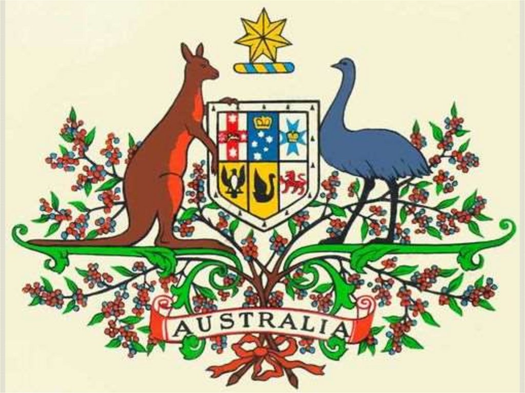 Какой символ австралии. Кенгуру на гербе Австралии. Гос герб Австралии. Национальные символы Австралии. Герб австралийского Союза.