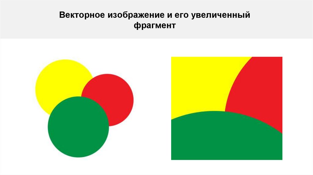 Векторная графика презентация