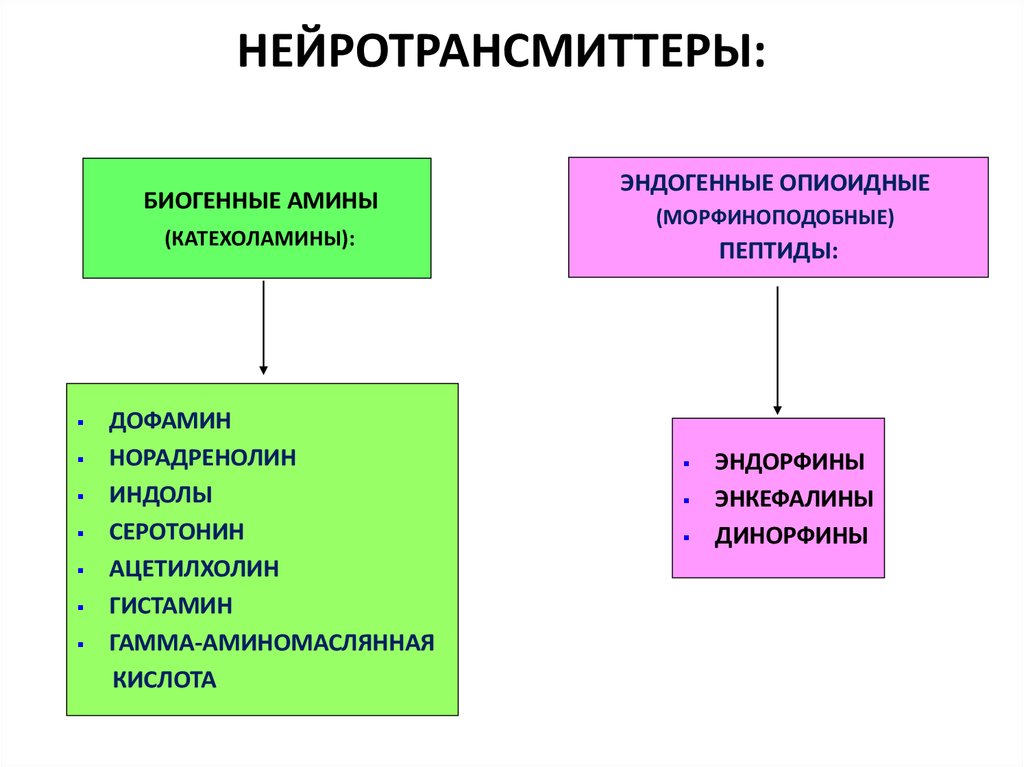 Схема регуляции репродуктивной функции женщины