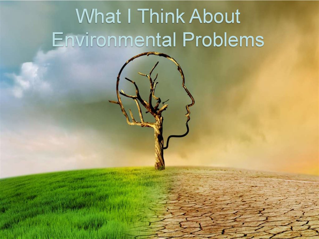 What Are Some Examples Of Social And Environmental Problems