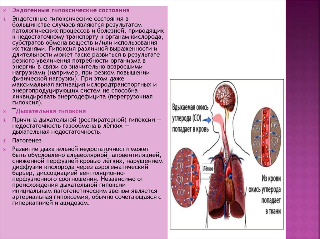 Презентация на тему гипоксия