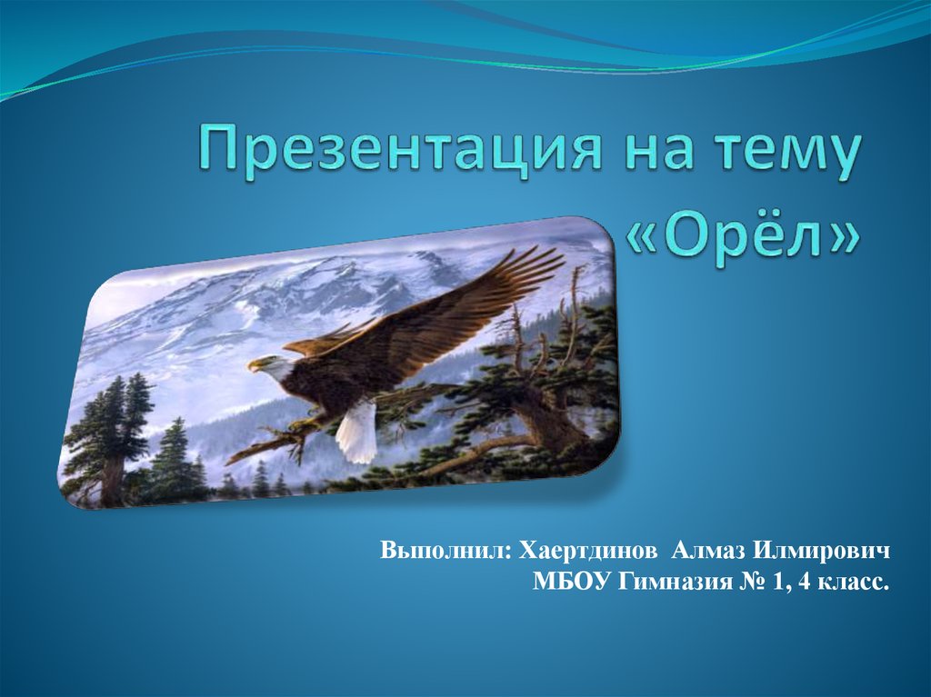 Презентация на тему орел по информатике