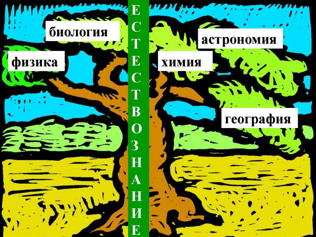 Физика в биологии. Физика химия астрономия география Геология экология биология. Физика и биология. Взаимосвязь биологии и физики. Связь между физикой и биологией.