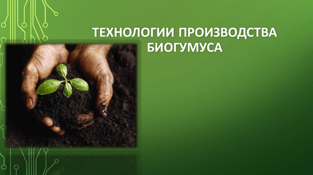 Биогумус производители. Производство биогумуса технология. Презентация биогумуса. Процесс изготовления биогумуса. Способы производства биогумуса.