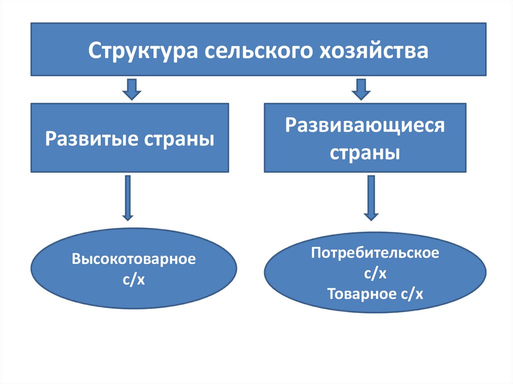 Схема мирового сельского хозяйства