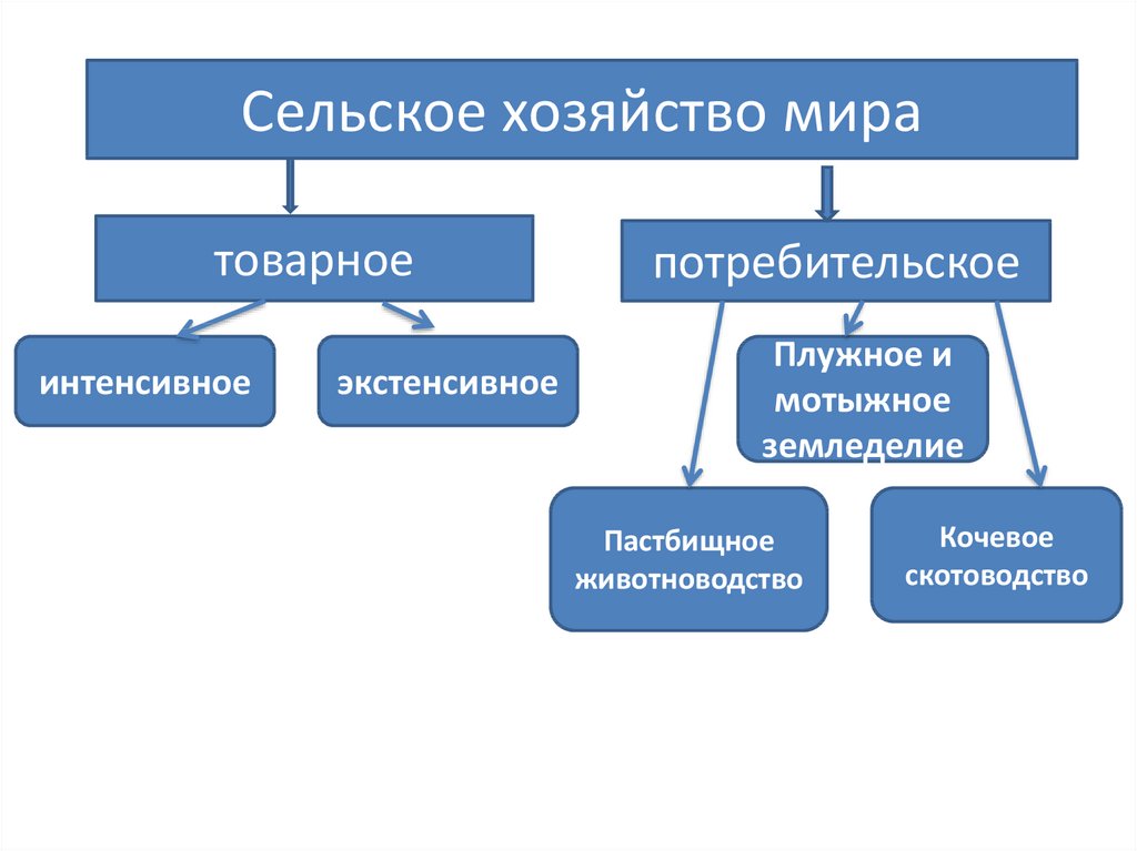 Экстенсивный путь сельского хозяйства