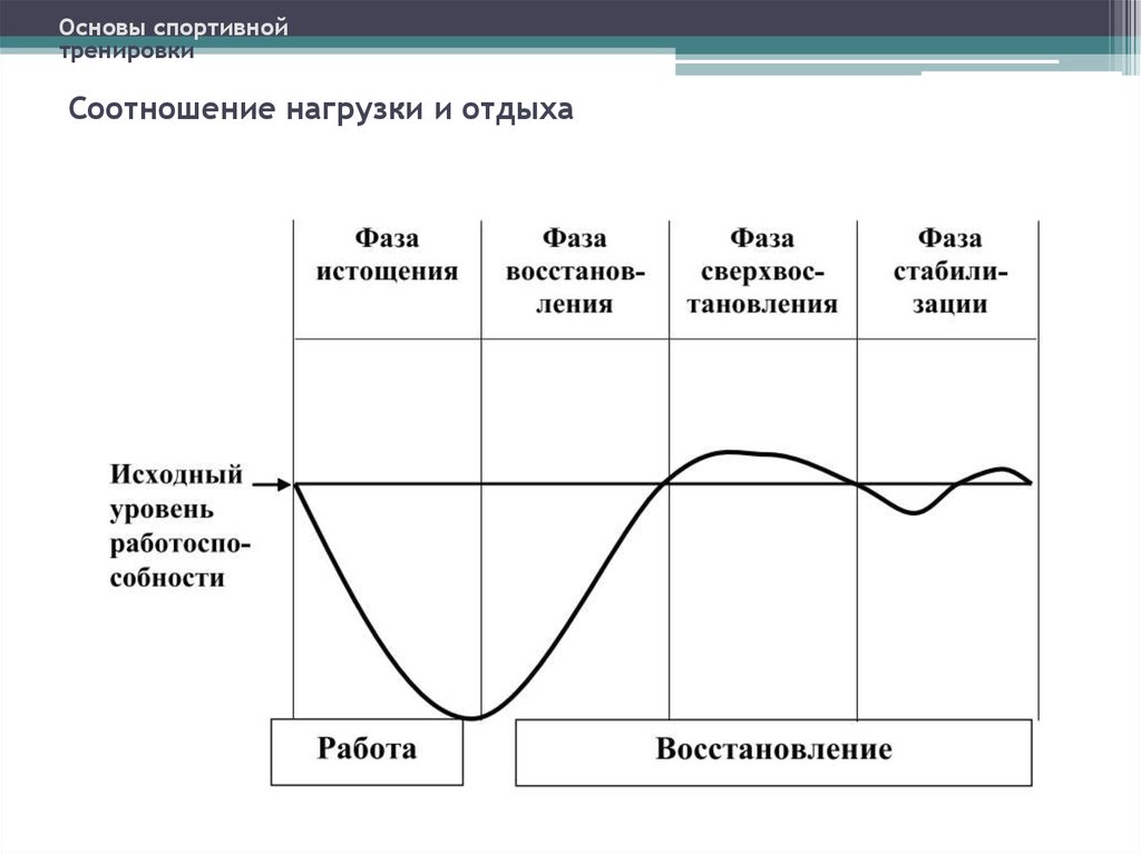 Нагрузка процесса. Основы спортивной тренировки. Нагрузка и отдых. Основы спортивной подготовки упражнения. Соотношение спортивной тренировки и подготовки.