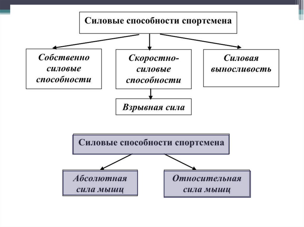 Классификация силовых способностей схема