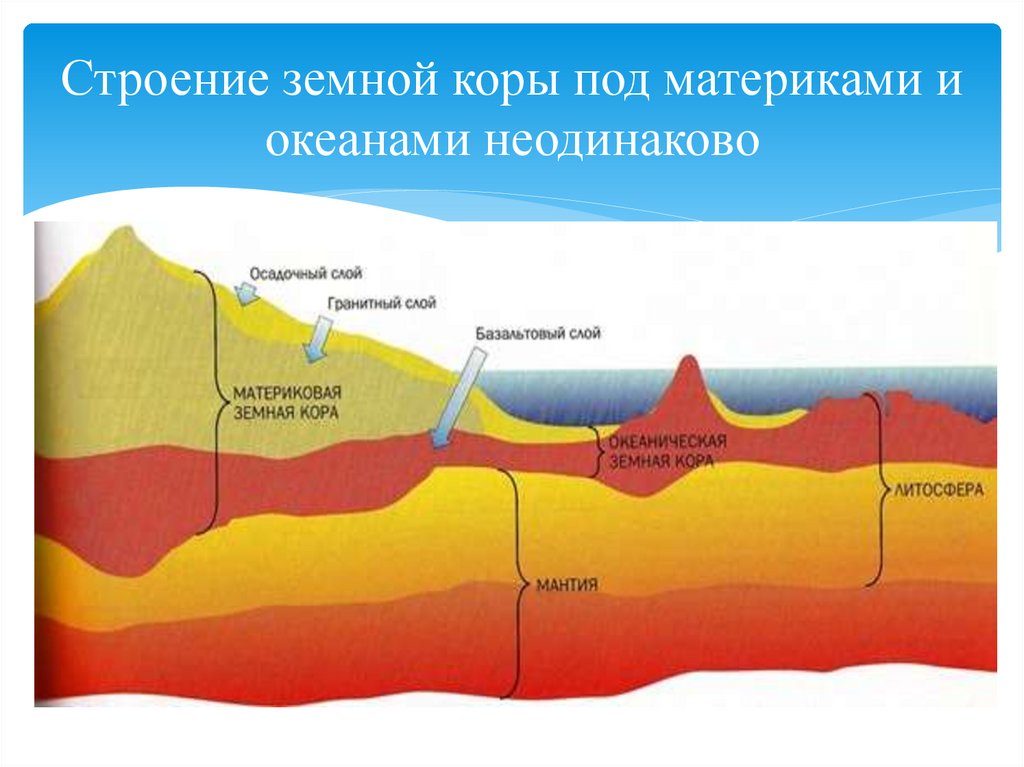 На рисунке изображен тип земной коры