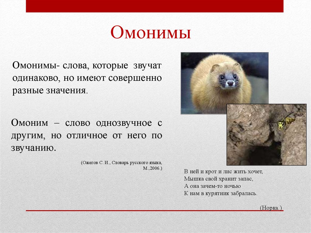 Есть слово омоним. Омонимы это слова которые звучат. Барашки омонимы. К слову барашки омоним. Гриф омонимы.