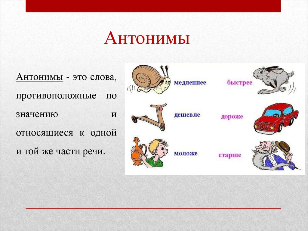 Слово с 5 значениями примеры. Синонимы антонимы омонимы. Синонимы и антонимы. Синонимы антонимы омонимы паронимы. Синонимы антонимы паронимы.