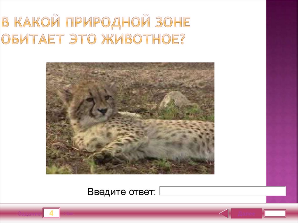 В какой природной зоне обитает. В какой природной зоне какие животные. Белка природная зона обитания. В какой природной зоне обитает белка.