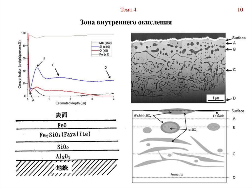 Внутренняя зона. Зона внутреннего окисления. Механизм внутреннего окисления. Внутреннее окисление стали. Моделирование зоны окисления.