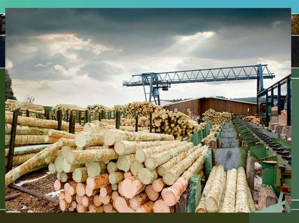 Лесная и деревообрабатывающая страны. Лесная и деревообрабатывающая промышленность. Деревообрабатывающая промышленность. Деревообрабатывающая отрасль Сербия.
