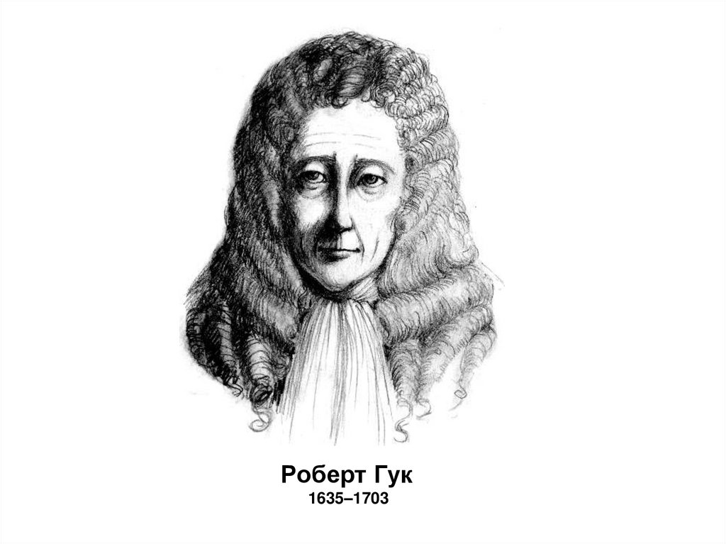 Гук физик. Роберт Гук. Роберт Гук (1635-1703). Роберт Гук портрет. Роберт Гук ученый.