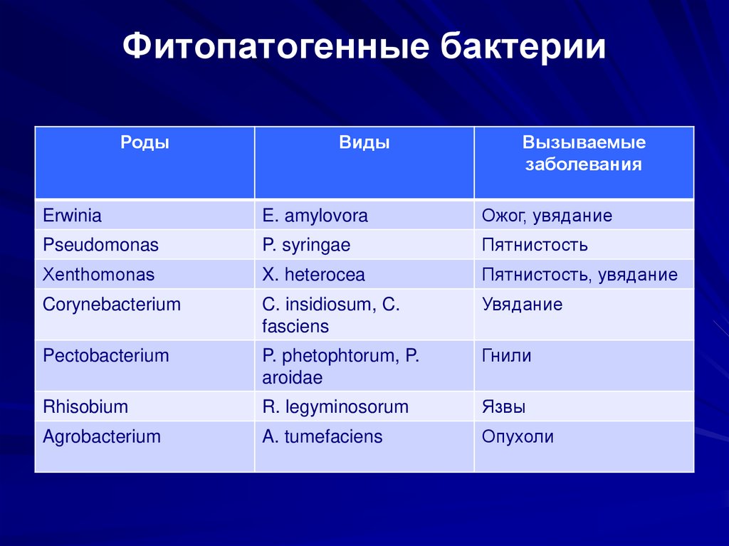 Вызваны вид