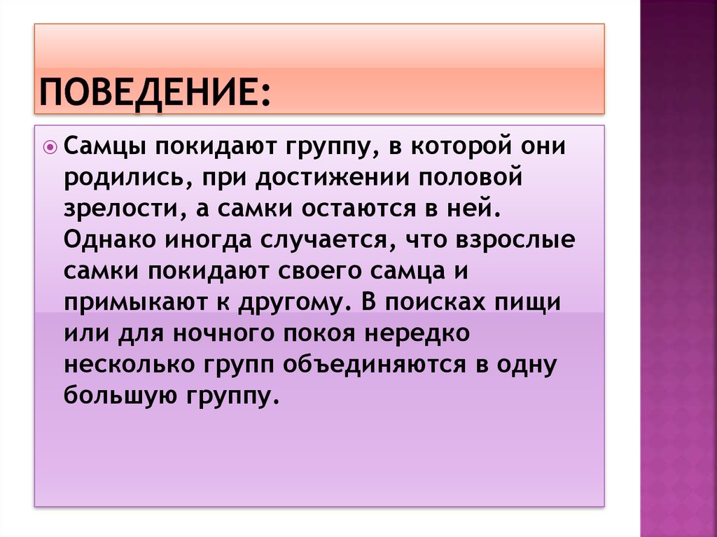 Роль полового поведения. Половое поведение человека. Половое поведение животных. Система полового поведения с.