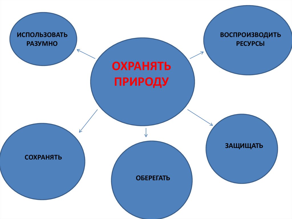 Закон на страже природы картинки