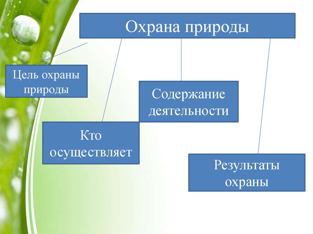 Схема закон на страже природы