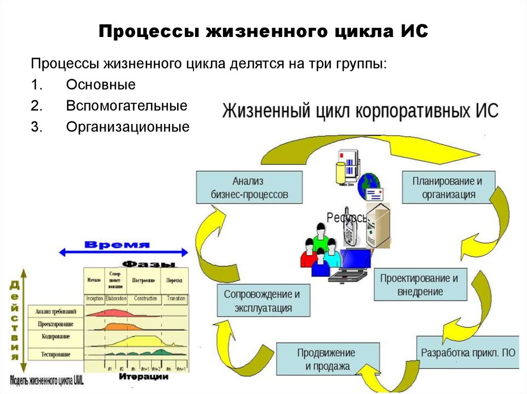 Жизненный цикл ис состоит из процессов