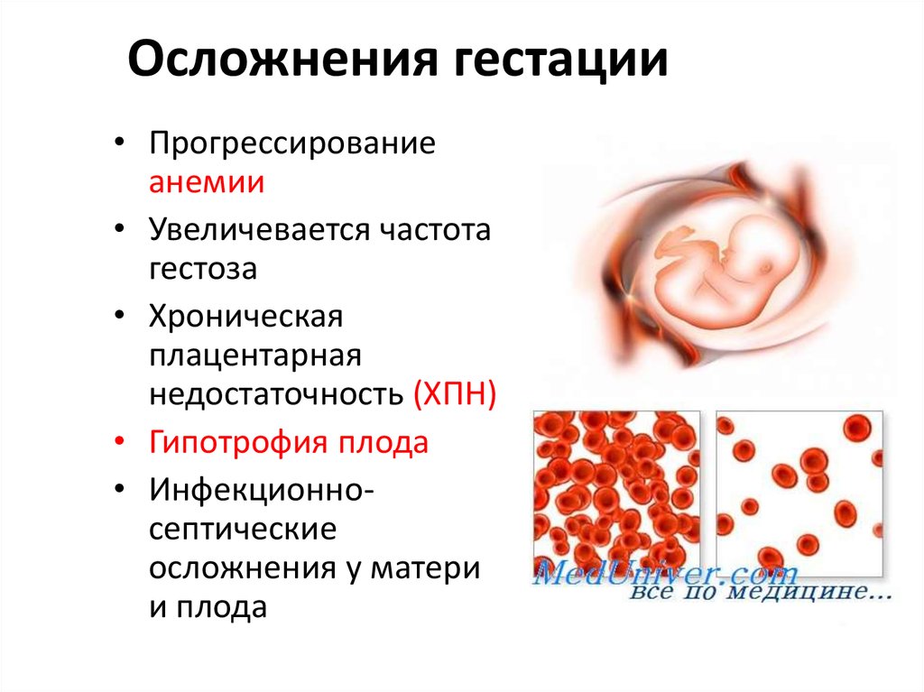 Что такое гестация при беременности