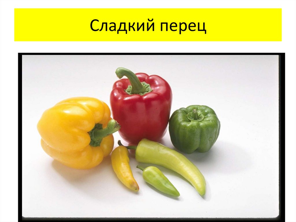 Перец презентация для детей