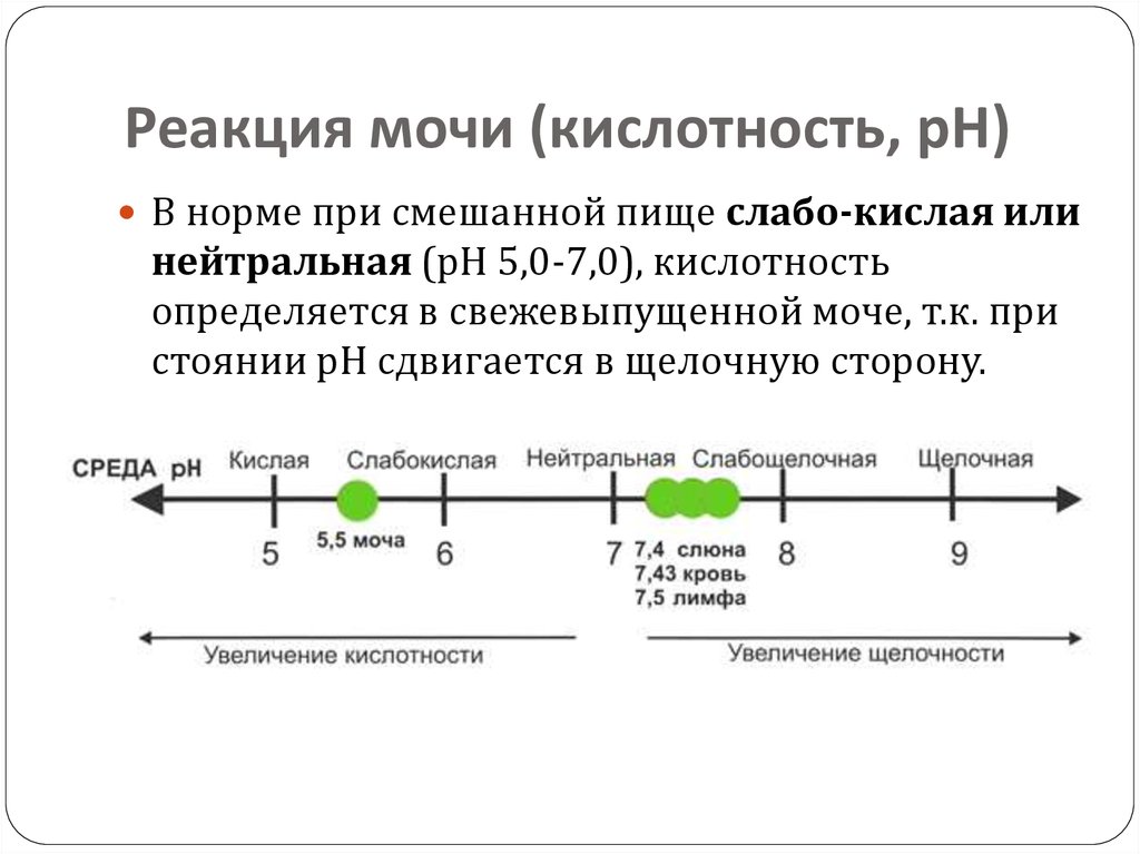 Причины кислотности мочи. Реакция мочи (РН) В норме. PH В моче 7.5. Показатель PH В моче норма. PH кислотность мочи норма.