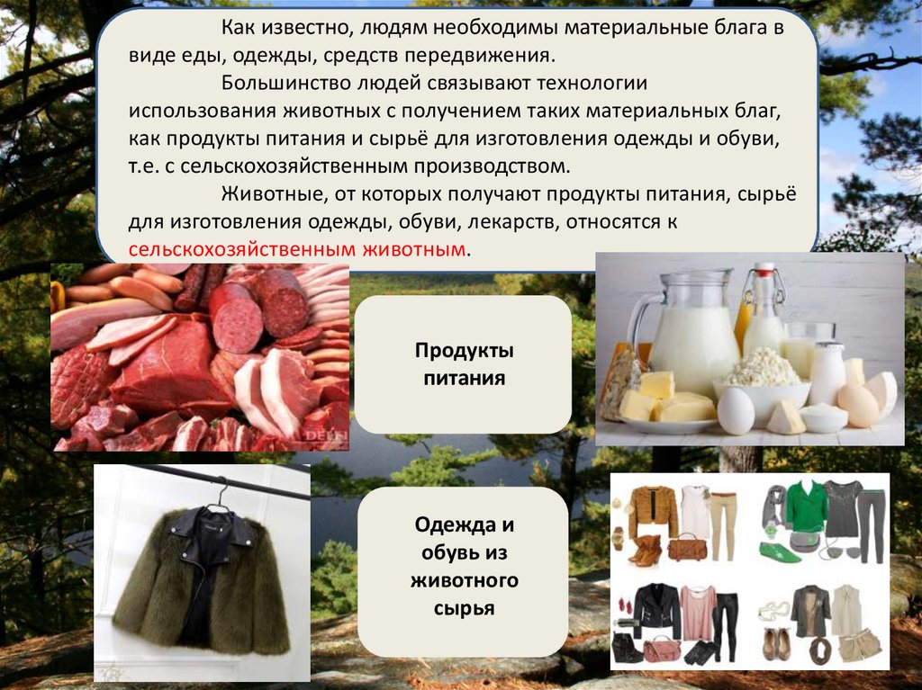 Пищевые блага продукты одежда