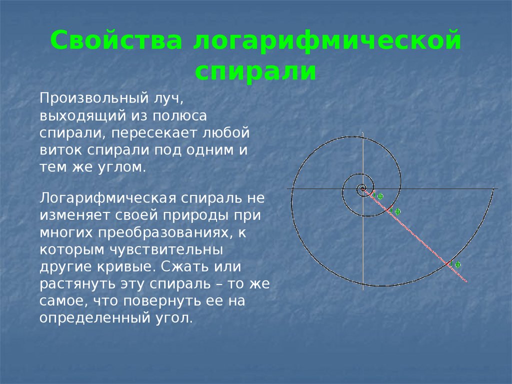 Математические свойства логарифмической спирали