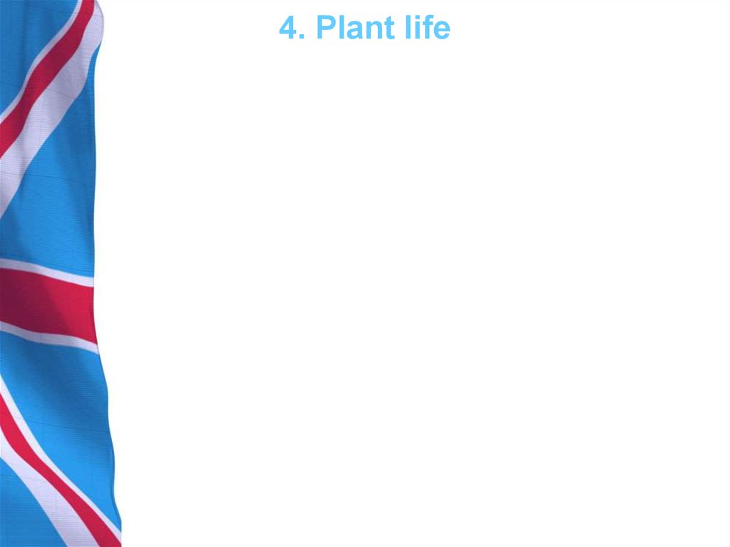 4. Plant life