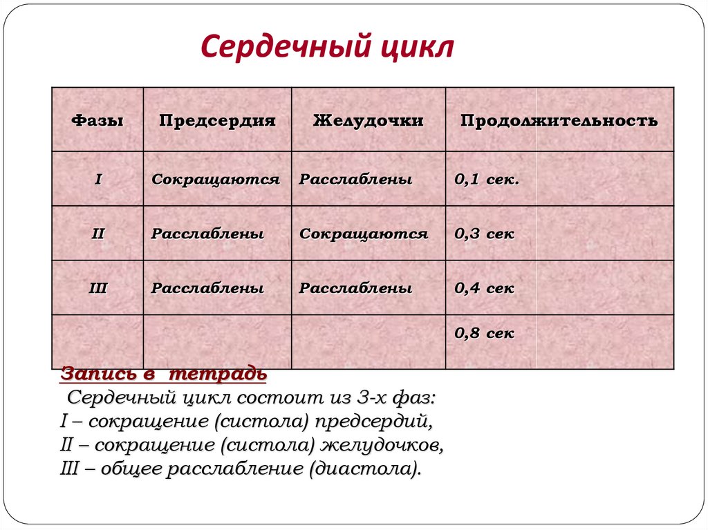 Продолжительность сердечного цикла